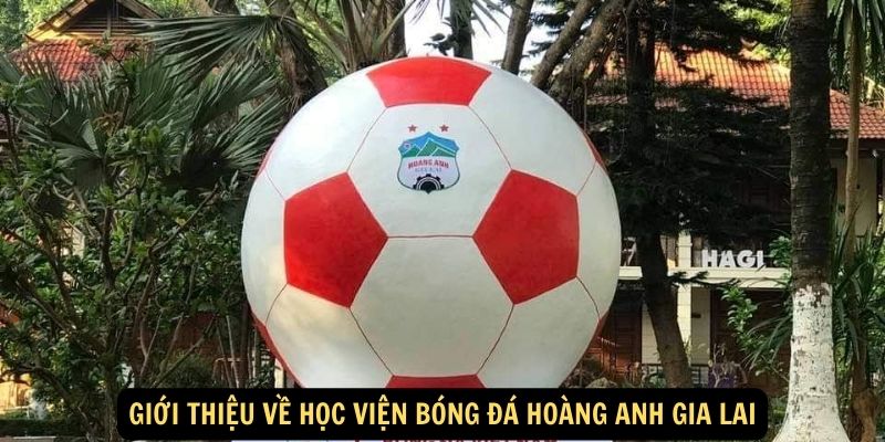 Giới thiệu về Học viện bóng đá Hoàng Anh Gia Lai (1)