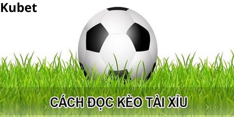 Cách đọc các kèo cược tài xỉu chuẩn xác